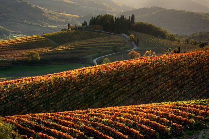 Small-Group Chianti and San Gimignano Sunset Trip from Siena - Why the Tour Offers Great Value