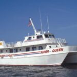 Small Group Clearwater Beach,Dolphin Watch Tour from Orlando - Who Should Consider This Tour?