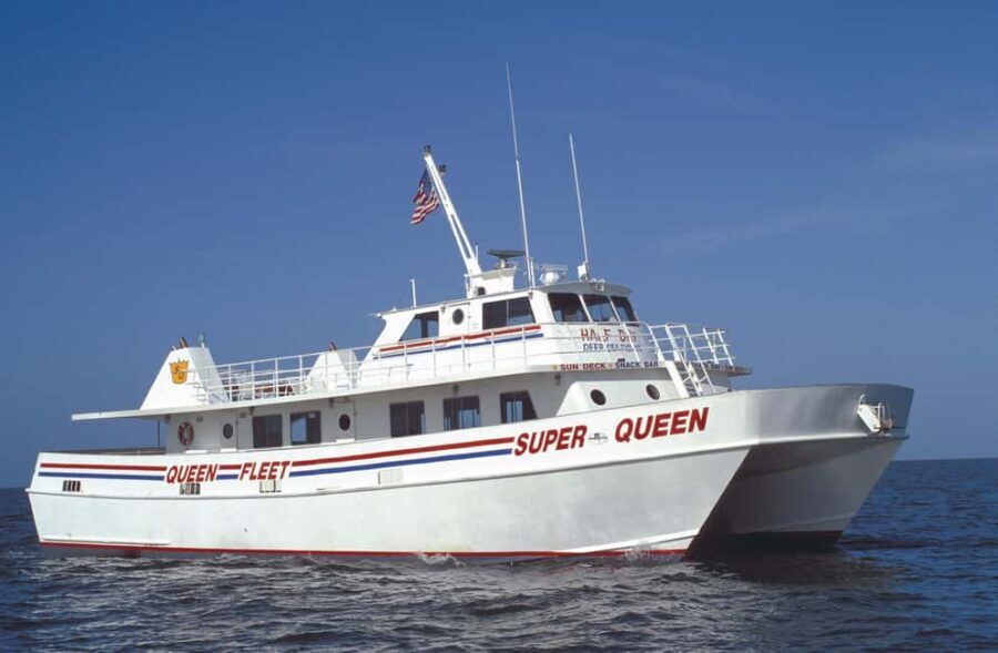 Small Group Clearwater Beach,Dolphin Watch Tour from Orlando - Who Should Consider This Tour?