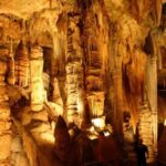 Small-Group D.C. Day Trip to Shenandoah Park & Luray Cavern - A Deep Dive into the Experience