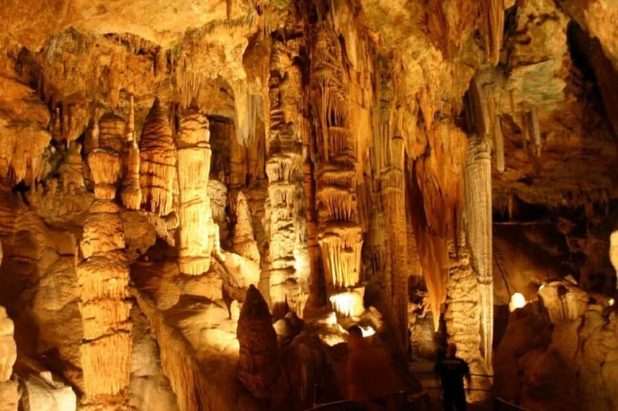 Small-Group D.C. Day Trip to Shenandoah Park & Luray Cavern - A Deep Dive into the Experience