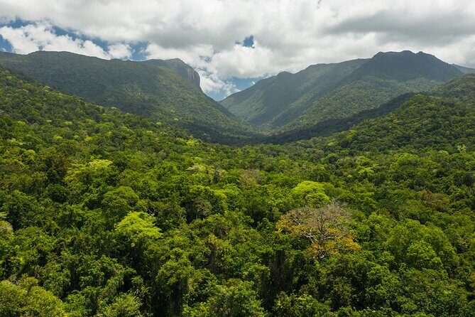 Small Group Daintree Rainforest and Aboriginal Coastal Adventure - Why This Tour Offers Real Value