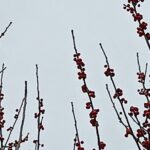 Small Group Day Trip from Houston to Austin - The Overall Experience and Value