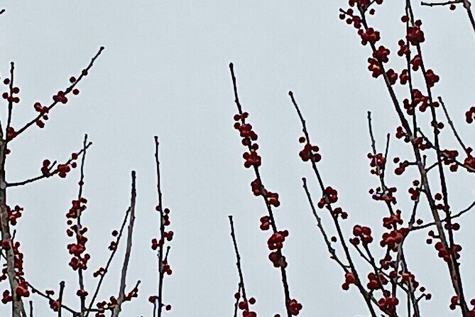 Small Group Day Trip from Houston to Austin - The Overall Experience and Value