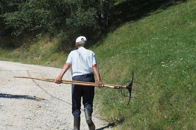 Small-Group Day Trip in Romanian Authentic Mountain Villages from Brasov - Frequently Asked Questions