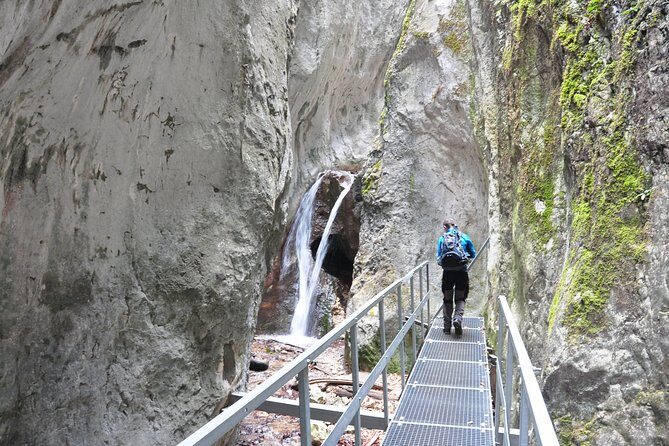 Small-Group Day Trip to the Epic 7 Ladders Canyon from Brasov - Who Will Love This Tour?