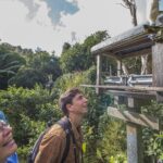 Small Group Daytime 2-Hour Eco Wildlife Tour at Zealandia - The Sum Up: Is This Tour Worth It?