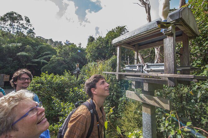 Small Group Daytime 2-Hour Eco Wildlife Tour at Zealandia - The Sum Up: Is This Tour Worth It?