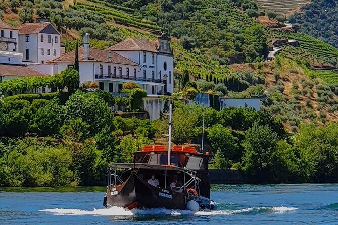 Small Group Douro Wine Valley Tour with Lunch and Wine Tasting - Who Would Enjoy This Tour?