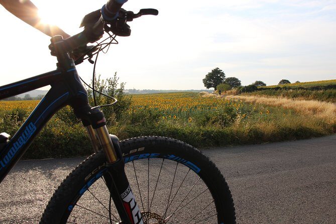 Small Group E-Bike Chianti Tour with farm lunch from Siena - Visit to Castello Monteriggioni
