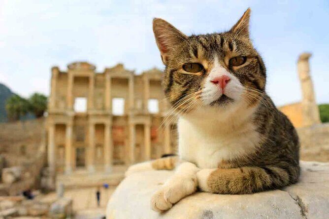 Small Group Ephesus Tour From Izmir - Who Will Enjoy This Tour?