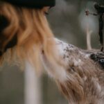 Small Group Fishing, Lunch& Reindeer Farm Visit in the Wilderness - The Experience in Detail