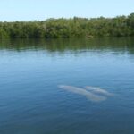 Small Group Florida Keys Eco Tour by Boat - Why This Tour Offers Good Value