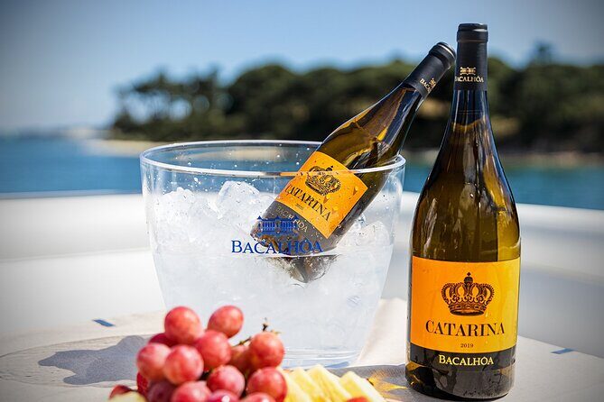 Small Group Full-Day Arrábida Wine Tour and Food Tasting - Cultural Stop and Coastal Views