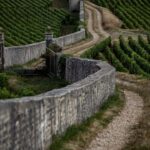 Small group full day tour in the Burgundy vineyards - Discovering the Burgundy Vineyards: An In-Depth Review