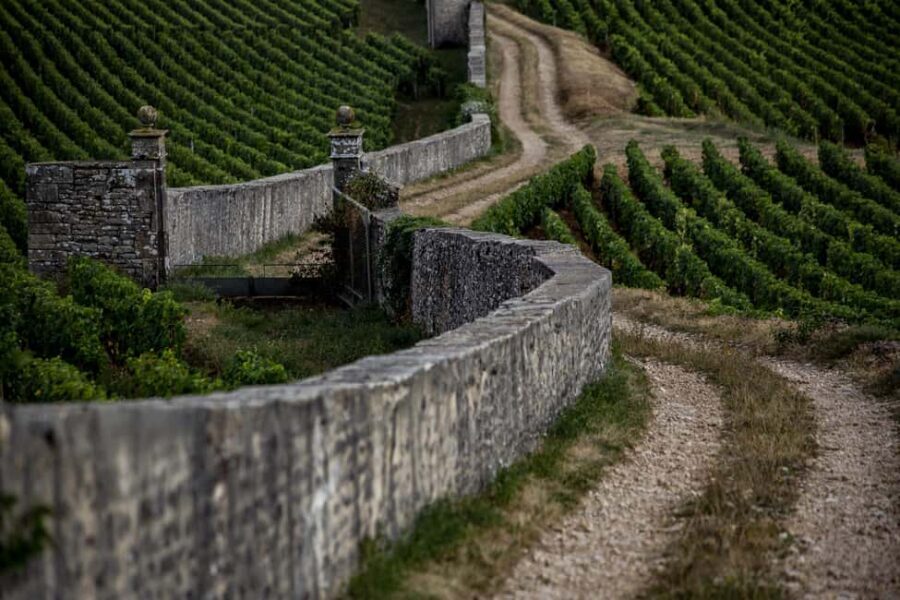 Small group full day tour in the Burgundy vineyards - Discovering the Burgundy Vineyards: An In-Depth Review