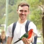 Small-Group Great Ocean Road Classic Day Tour from Melbourne - A Deep Dive into the Tour Experience