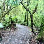 Small group Great Ocean Road Reverse & Wildlife spotting - Authentic Experiences and What Travelers Say