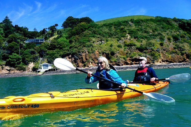 Small group guided sea kayaking in Akaroa marine reserve - Who is this tour perfect for?