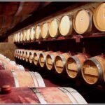 Small Group - Half-Day Hawke's Bay Winery Tour - Who Will Love This Tour?