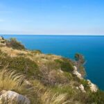 Small Group Half Day Tour of POLIGNANO a MARE and MONOPOLI - Authentic Experiences and What Travelers Say