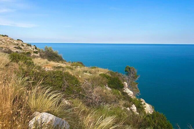 Small Group Half Day Tour of POLIGNANO a MARE and MONOPOLI - Authentic Experiences and What Travelers Say