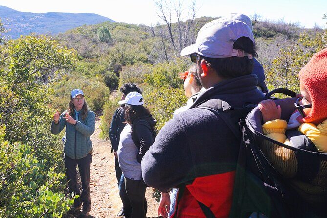 Small Group Hike Through San Diego's Heart and Soul - Why This Tour Offers Great Value