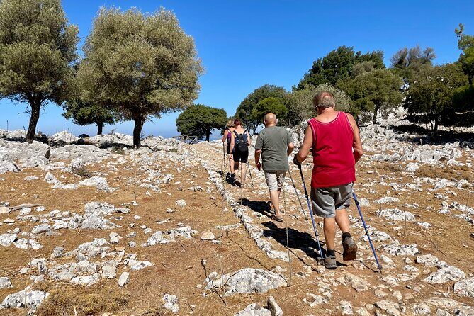 Small Group Hiking from Salakos to Profitis Ilias - Practical Details and What to Expect