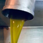 Small-Group Honey & Extra Virgin Olive Oil Tasting Tour in Crete - A Closer Look at the Tour Experience