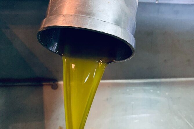 Small-Group Honey & Extra Virgin Olive Oil Tasting Tour in Crete - A Closer Look at the Tour Experience
