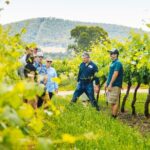 Small-Group Hunter Valley Wine Tasting Tour from Sydney - Who is This Tour Best For?