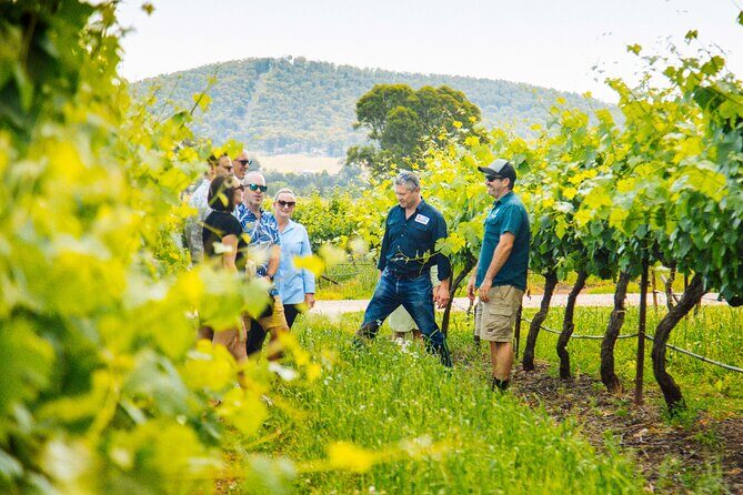 Small-Group Hunter Valley Wine Tasting Tour from Sydney - Who is This Tour Best For?