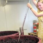 Small Group Hunter Valley Wine Tour + Lunch, Gin & Choc ex Sydney - The Sum Up