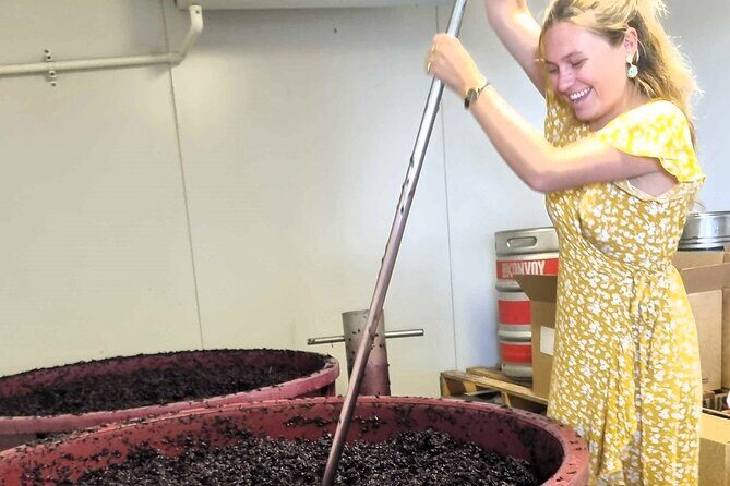 Small Group Hunter Valley Wine Tour + Lunch, Gin & Choc ex Sydney - The Sum Up