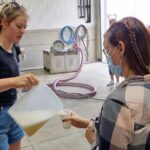 Small Group Hunter Valley Wine Tour w Lunch, Gin, Cheese & Choc - Who Will Love This Tour?