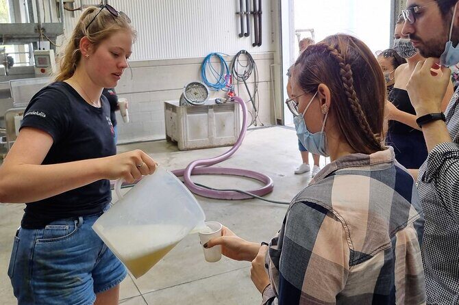 Small Group Hunter Valley Wine Tour w Lunch, Gin, Cheese & Choc - Who Will Love This Tour?