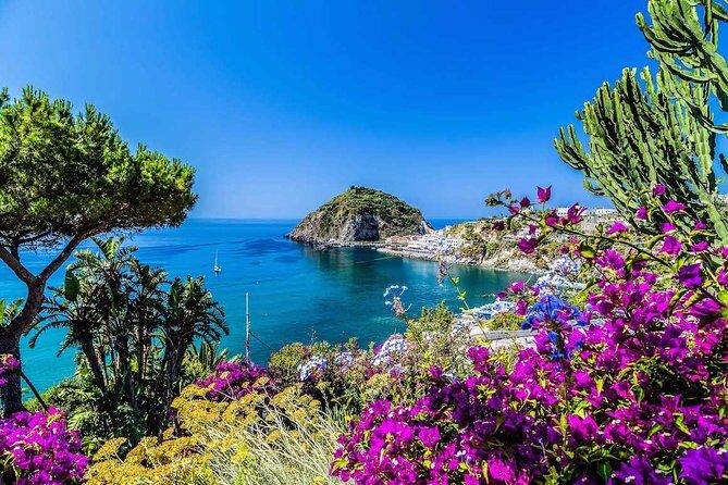 Small Group Ischia and Procida Boat Day Tour from Sorrento - The Balance of Value and Experience