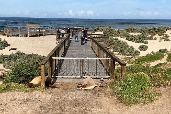 Small Group Kangaroo Island Tour - Best of KI - Exploring Kangaroo Island: A Guide to the Best of KI Tour