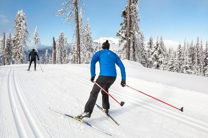 Small-Group Lapland Cross Country Ski - A Deep Dive into the Cross-Country Skiing Experience in Rovaniemi
