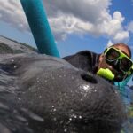 Small Group Manatee Snorkel Tour with In-Water Guide and Photographer - The Sum Up