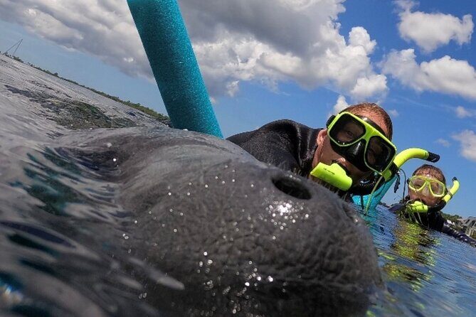 Small Group Manatee Snorkel Tour with In-Water Guide and Photographer - The Sum Up