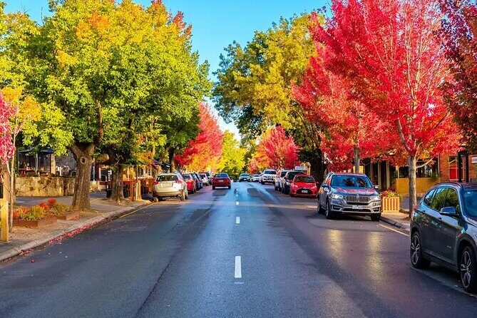 Small Group McLaren Vale and Hahndorf Tour - Pricing and Value