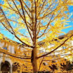 Small Group Medici and Michelangelo Tour in Florence - Authentic Experiences and Insider Insights