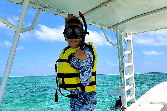 Small-Group Mesoamerican Barrier Reef Snorkeling in Puerto Morelos - Why This Tour Is Worth It