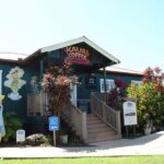 Small Group One Day Trip Kauai Island - What’s Included and What You Should Plan For