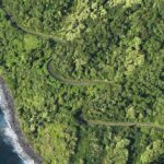Small-Group Road to Hana Luxury Tour - Who Will Love This Tour?