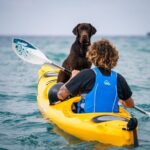 Small-Group Santorini Sea Caves Kayak Trip with Snorkeling & Picnic - Value, Safety, and Practicalities