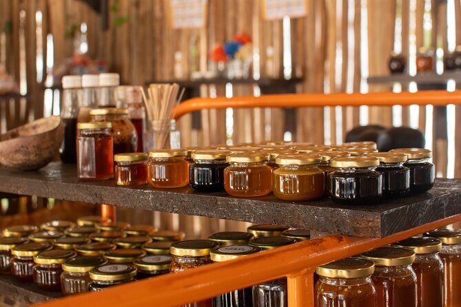 Small Group Shared Jeep Island Tour Mayan Park Cenote and Beach - Who Will Love This Tour?