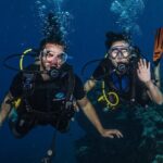 Small-Group Shark and Turtle Dive for Certified Divers - Who Will Love This Experience?