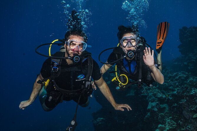 Small-Group Shark and Turtle Dive for Certified Divers - Who Will Love This Experience?